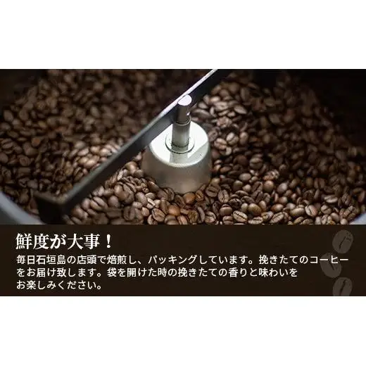 ⽯垣島産コーヒー⾖MIXブレンド ドリップパック10個セット　IW-1 