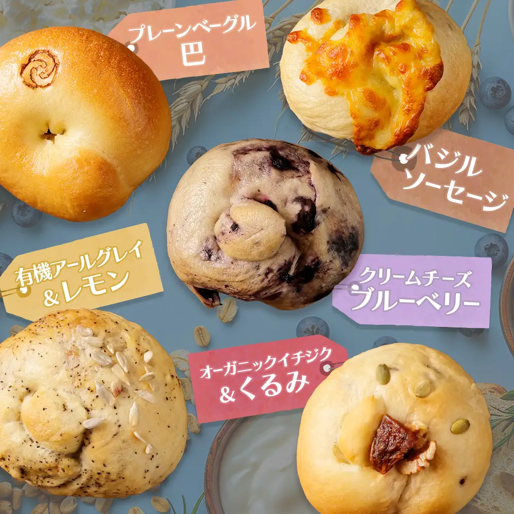 【定期便：全3回】トモヱベーグル ギフトセット「北の麦輪（むぎわ）10個セット」【33000701】