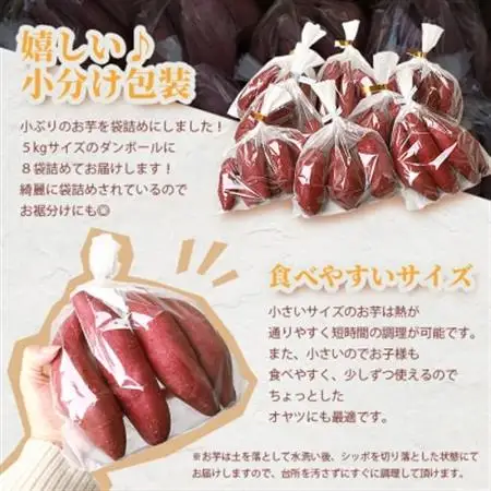 紅はるか〈小分け8袋入り〉野菜 サツマイモ さつまいも A3-19_野菜 さつまいも いも サツマイモ 薩摩芋_【配送不可地域：離島】【1167019】