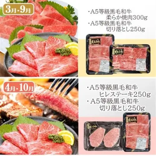 定期便(6回)鹿児島県産A5等級黒毛和牛シャトーブリアン・サーロインステーキetc　HH-6001_肉 お肉 牛肉 霜降り ロース スライス 焼肉 切り落とし ブロック 人気 送料無料_【配送不可地域：離島】【1166783】