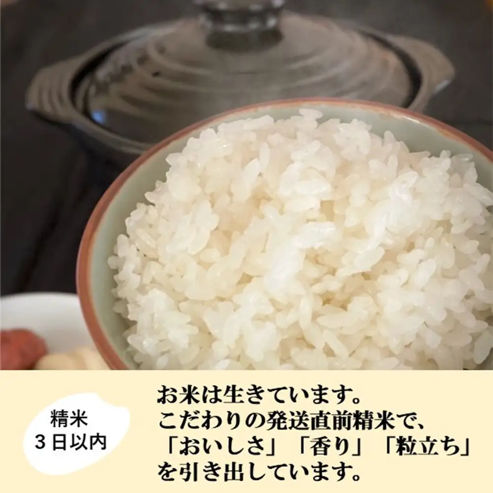 【令和8年産】【日本農業賞大賞】ゆめみづほ27kg精白米 能美市 お米 精米銘柄米 ご飯 おにぎり お弁当 和食粘りが少ない 精米したて 一等米