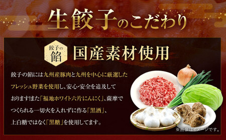訳あり！ちょっと大きめ 国産 生餃子 (ラー麦使用)  100個 2kg ＆ 辛子明太子 小切り 300g セット ぎょうざ ギョウザ めんたいこ 冷凍
