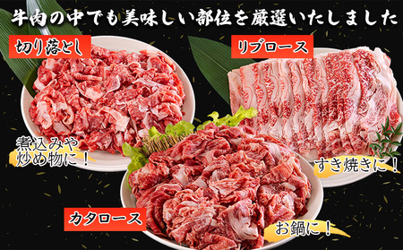 3回 定期便 宮崎県産 黒毛和牛 スライス セット 切り落とし モモ リブロース 肩ロース カタ 1.5kg 500g ×3
