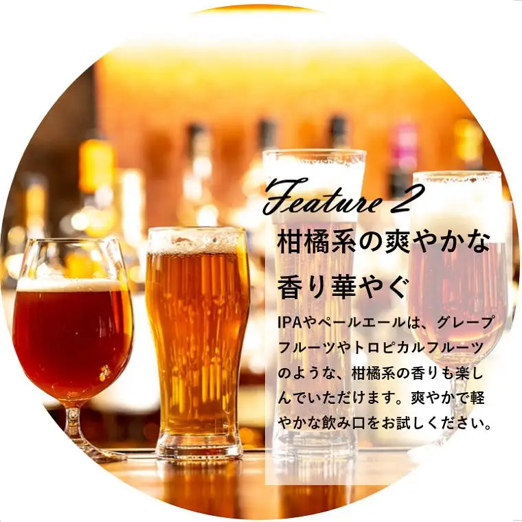 K1120 さかい河岸ブルワリー 境町産クラフト地ビール6本セット