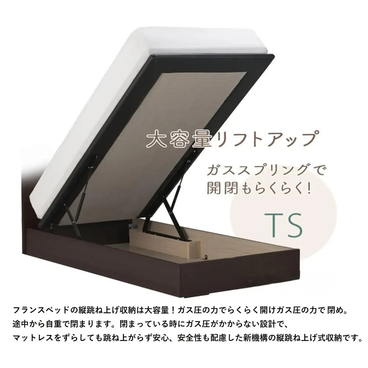 フランスベッド ファディア FAD-C1 TS（縦跳ね上げ収納260mm） 【 フレームのみ 】 M セミダブル S-212