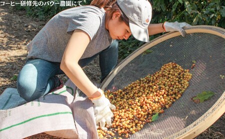 【VIVA LA COFFEE】トミオフクダ　ドライオンツリー＆ブルボンアマレロ（豆）飲み比べセット（各200g）