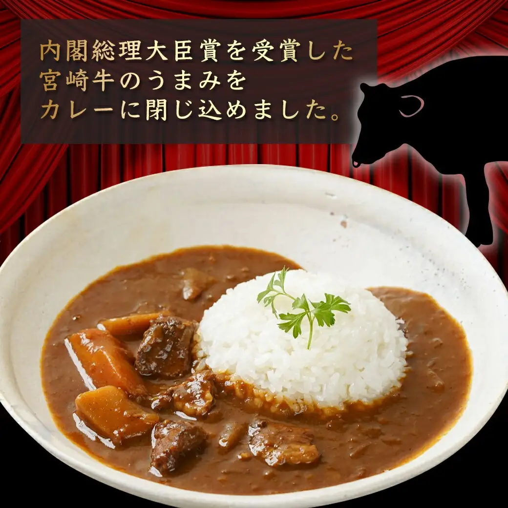 【お試し♪】トプカ☆宮崎牛カレー2食セット※ポスト投函〔LA-J902-PF〕_(都城市) カレー専門店  手づくり 宮崎牛 ビーフカレー ポスト投函
