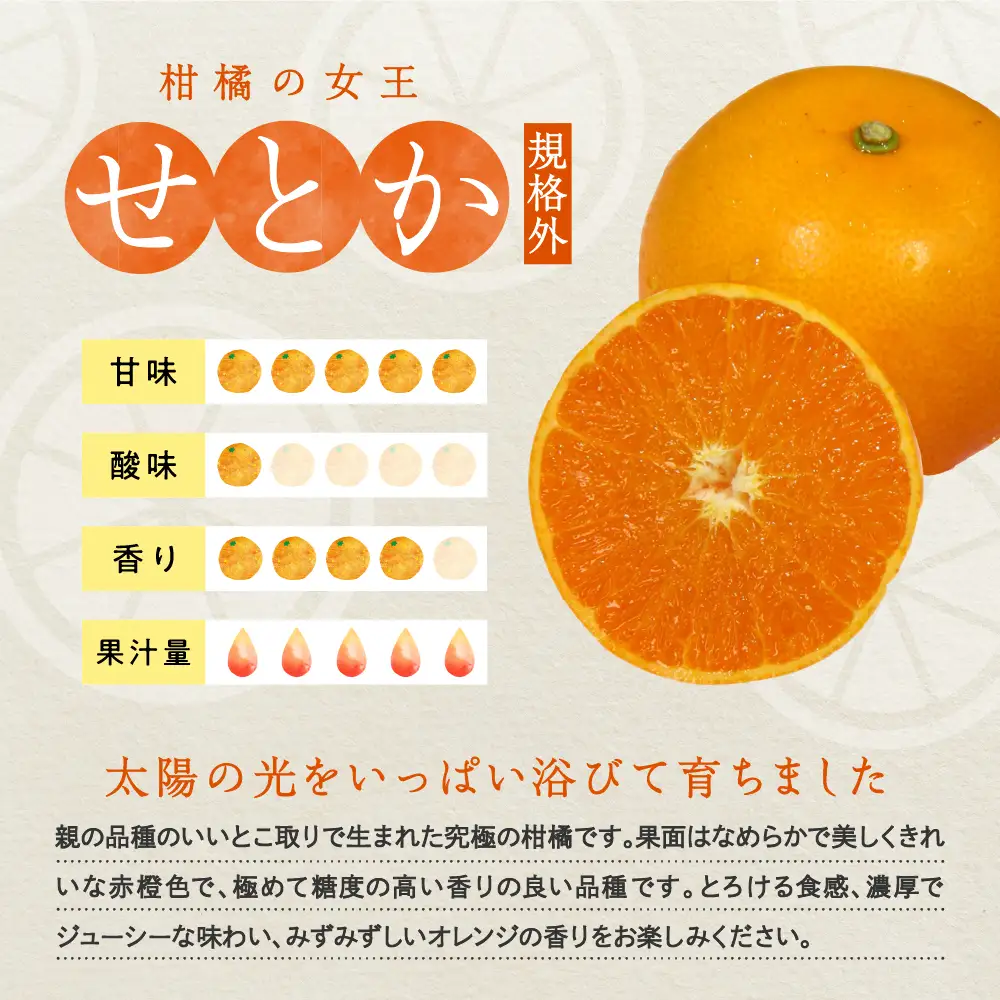 先行受付 2027年2月初旬～発送 規格外品 せとか約5kg 上神農園