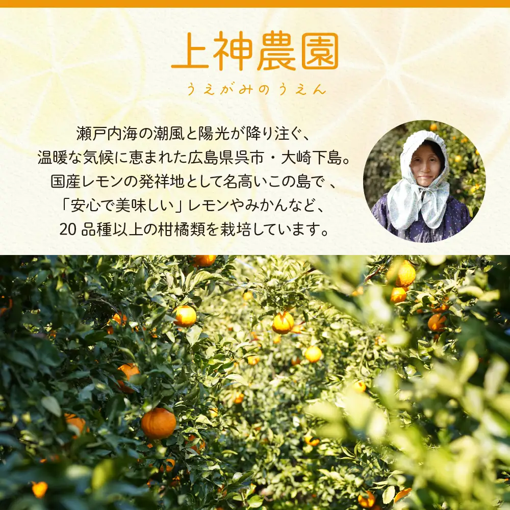 【先行受付】【2026年11月中旬～発送】上神農園 旬の柑橘詰め合わせ 約5kg