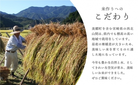 令和5年産 ひのひかり 5kg×2袋 計10kg