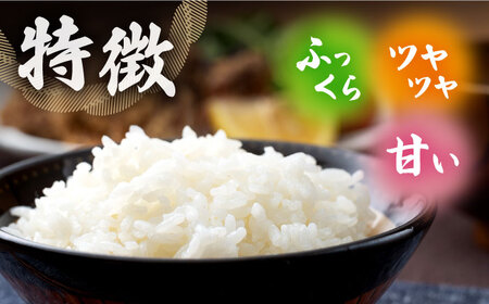 【先行予約】【全3回定期便】対馬産「 なつほのか 」10kg 5kg×2【2024年10月以降順次発送】  白米 米 お米 ご飯 ごはん 10kg 10キロ 定期便  [WBM006]