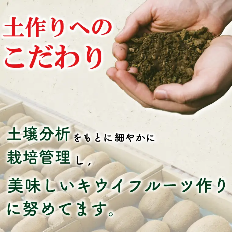 【先行予約】【11月発送開始】東京ゴールドと香緑2種詰め合わせ24～27玉入り 大晴農園のキウイフルーツ（BY005）
