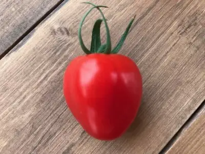 【2027年度予約分】【お試し】幻のミニトマト トマトベリー約800g 長田農園 野菜ソムリエサミット 金賞 受賞 産地直送 トマト とまと 野菜 やさい フルーツ サラダ 濃厚 甘い ご褒美 プレゼント 美容 健康 リピート多数 人気 高評価 先行受付 数量限定 碧南市 H004-177