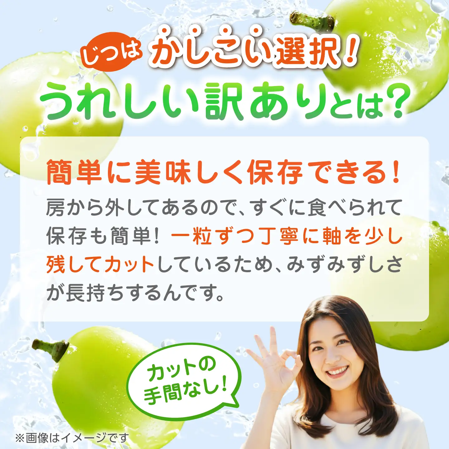 【先行予約】 訳あり シャインマスカット 切り落とし 約1kg  【合同会社 社方園】切り落とし ぶどう フルーツ 熊本県産 国産シャインマスカット [ZBZ006]