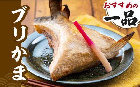 ブリ 3kg セット 短期蓄養 鮮度抜群 新鮮 冷蔵 刺身 漬け丼 刺身 ブリ丼 カルパッチョ アラ付き カマ  [WBV002]
