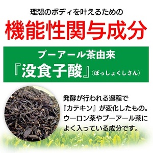 【定期便3か月】国産プーアール茶　SARYU-SOSO（5g×10ティーバッグ）×3回　＜機能性表示食品＞