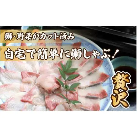 【先行予約】ぶりしゃぶセット 2人前　カット野菜・だし汁・薬味付 【2026年11月中旬より順次発送】 / ブリ 鰤 ぶり しゃぶしゃぶ しゃぶしゃぶ用 野菜 鍋 冬 富山 お歳暮 海鮮 冷蔵