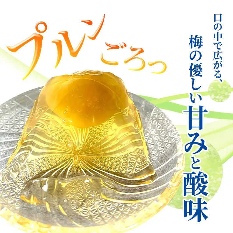 大河原の梅と清水のゼリー うめ果りり 10個入り 10,000円台おすすめ返礼品 お菓子 スイーツ 和スイーツ 梅の風味 梅ゼリー おやつ 食後 ひんやりスイーツ 涼 夏 さっぱり やさしい甘味 酸味 