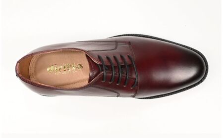 ビジネスシューズ　牛革トラッド　D8800 WI【ワイン】 ファッション ファッション小物 靴 日本製 社会人 メンズ 男性用 紳士靴 本格マッケイ製法 ラウンドトゥ  27cm