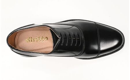 ビジネスシューズ　牛革トラッド　D8804 BL【ブラック】 ファッション ファッション小物 靴 日本製 社会人 メンズ 男性用 紳士靴 本格マッケイ製法 ラウンドトゥ  24.5cm