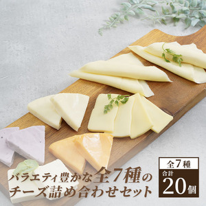 チーズ 定期便 3ヶ月 20個 詰め合わせ セット チーズ