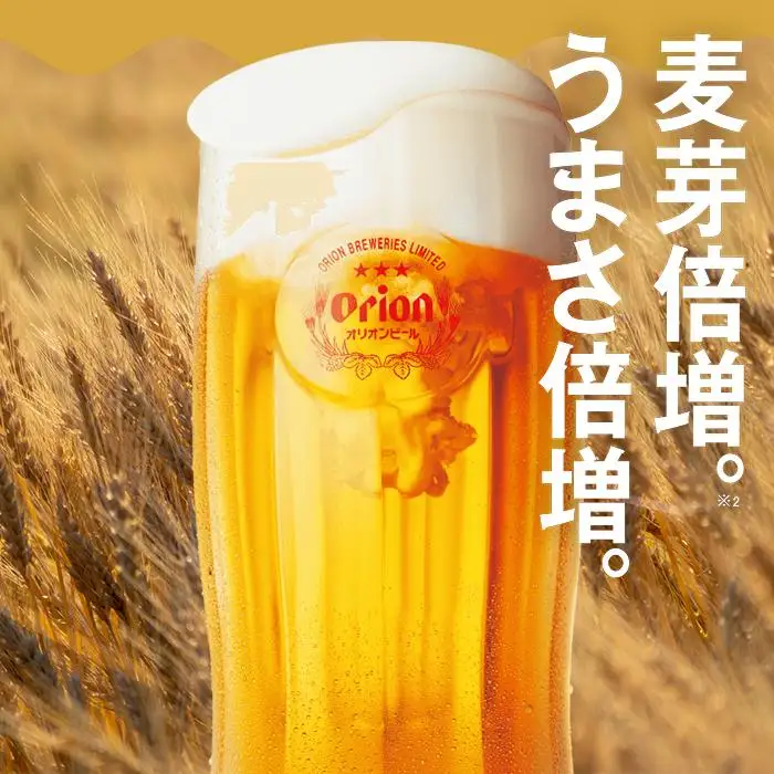 【ふるさと納税】麦職人 350ml（24本 × 1ケース )　酒 ビール | 沖縄 オリオン 麦職人 人気