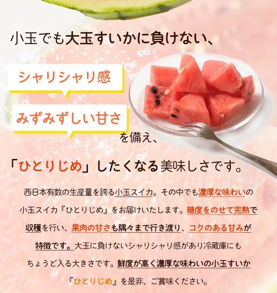 紀州和歌山産 小玉スイカ「ひとりじめ」 1玉［2027年6月中旬頃～2027年7月上旬頃に順次発送］［UT85］