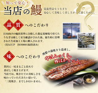うなぎ蒲焼 4尾 計約860g～960g （タレ・山椒付き） 1尾で約215g～240gのビッグサイズ 【通常発送】【nks702B-y】