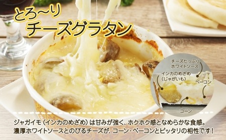 ■北海道グラタン 2種■《坊ちゃんかぼちゃ230g とろ～りチーズ250g 各2個》 鱗幸食品 南瓜 カボチャ 丸ごとかぼちゃ 濃厚 ホワイトソース じゃがいも インカのめざめ 小分け 惣菜 おつまみ レンジ おかず 時短 冷凍 食品 手軽 お取り寄せ 送料無料 札幌市