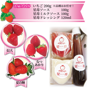 いちご 400g ソース セット 苺 果物 くだもの フルーツ フルーツソース おやつ ヨーグルト アイス ストロベリー strawberry 岩手県 大船渡市