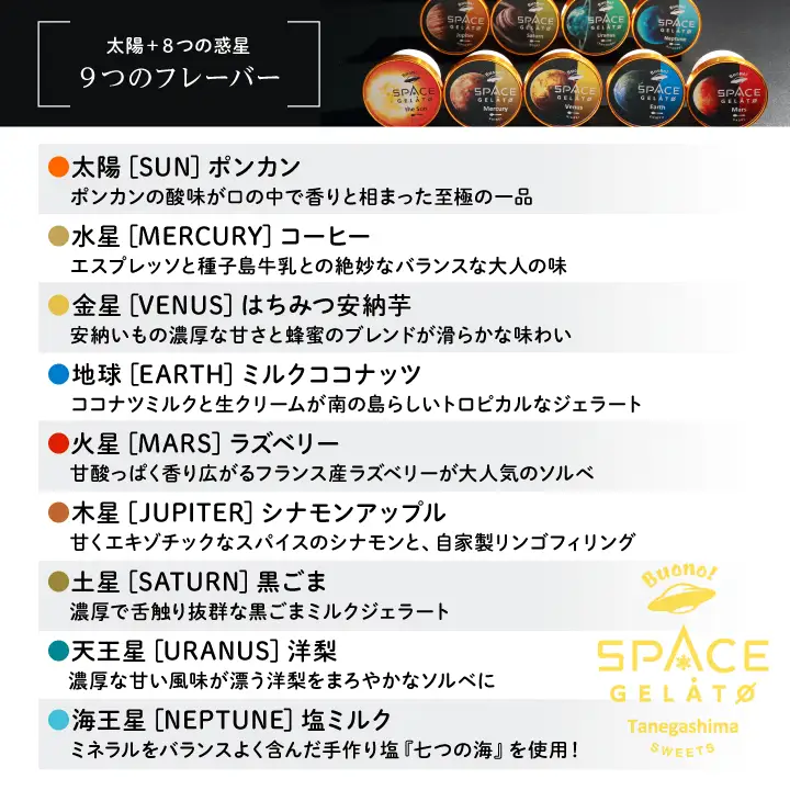 スペースジェラート 9個セット【種子島ジェラートＨＯＰＥ】