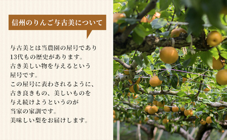 幸水 5kg 梨 2026年秋 信州 長野 フルーツ 幸水