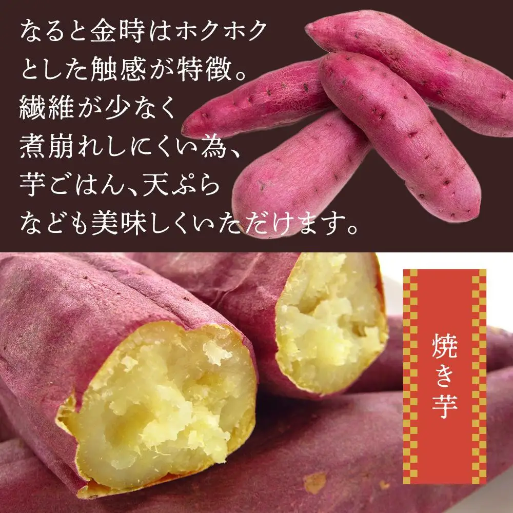 さつまいも なると金時 甘姫 約5kg 1箱  新芋
