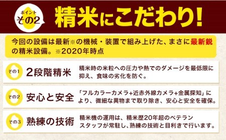 令和5年産 ひのひかり 無洗米 10kg 《30日以内に出荷予定(土日祝除く)》  5kg×2袋 熊本県産 米 精米 ひの 熊本県 南阿蘇村 st-p
