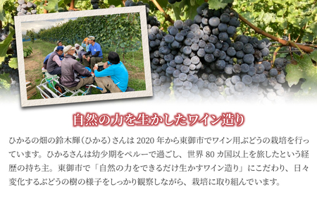 【ひかるの畑】赤ワイン・ロゼワイン　３本セット