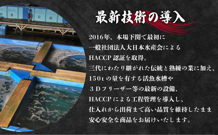 とらふぐ刺身ふぐちり 3~4人前 冷凍 ID 
