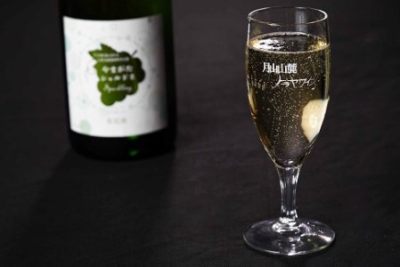 やまがたシャルドネスパークリング 750ml×2本 辛口 ワイン 白 白ワイン 酒 山形　020-E-CK017