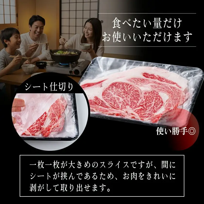 宮崎牛リブローススライス500g〔AO-2501〕_(都城市) 都城産 宮崎牛 リブローススライス 500g 