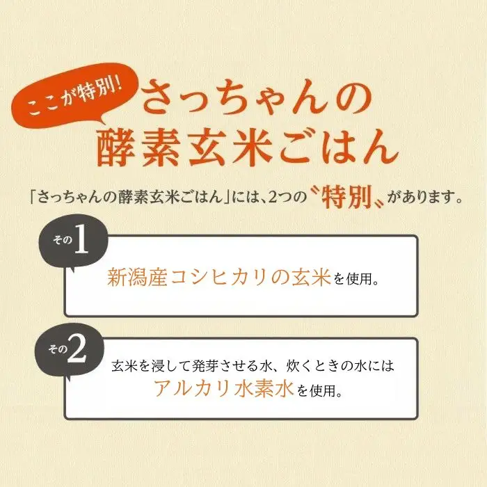【4ヶ月定期便】さっちゃんの酵素玄米ごはん「冷凍タイプ」70g×2個×14パック×4回 コシヒカリ おにぎり 健康 美容 新潟県 パックご飯 定期便 1F13077