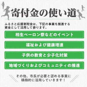 【返礼品なし】兵庫県相生市への寄付（3,000円分）