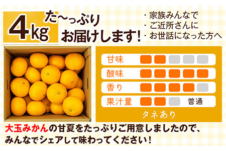 【2026年度先行予約分】みかん 好き必見 甘夏 熊本県産(津奈木町産含む) 甘夏 約 4kg (約7-16玉前後) 柑橘 大玉 ミカン《2月中旬-4月末頃出荷》 フルーツ 旬 甘夏みかん 果物 訳あり 定期 でない