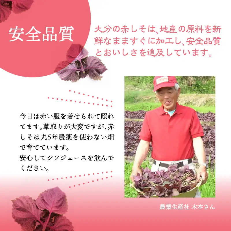【敬老の日ギフト】 赤しそジュース（加糖・無糖・オリゴ糖セット）900ml×各1本 ≪9月21日お届け≫ F10040-K