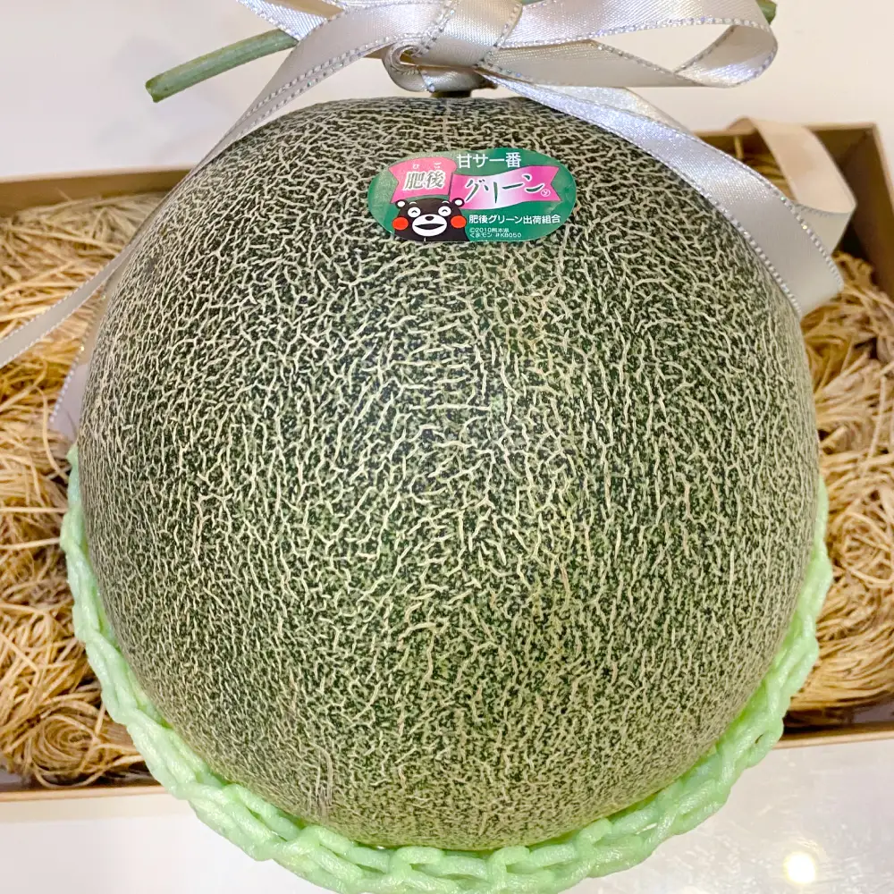 メロン 【先行予約】熊本県 八代市産 肥後グリーン 約4kg （2玉入） 【2027年5月中旬より順次発送】 メロン