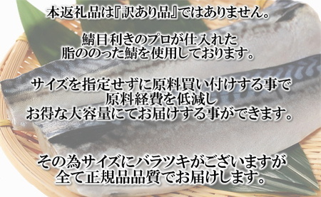 AB182.バラ凍結で便利！塩さば（約3kg）
