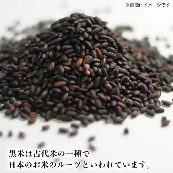 糸島産黒米 糸島市 / Carna [ALA054] 雑穀米 雑穀