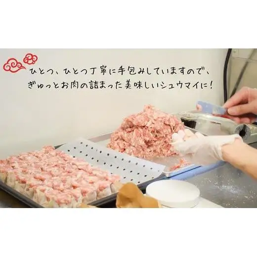 手作り点心の店　Syun358.　しゅうまい20個（ノーマル10個・おとな10個）食べ比べセット