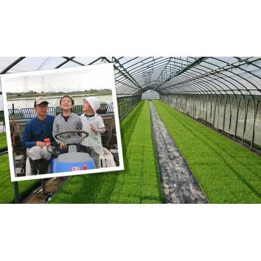 【隔月3回定期便】コシヒカリ 精米5kg×3回【茨城県認証米／オーガニック栽培】