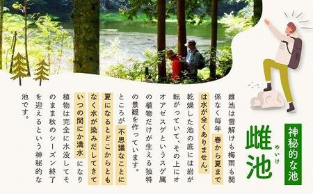 2025・26年度シーズン 乗鞍山麓 秘境「五色ヶ原の森」トレッキング ショートコース「雌池布引滝コース（所要2時間）」大人2名分 | 観光 森 自然 ガイド 案内 ツアー トレッキング 飛騨高山 乗鞍山麓五色ヶ原の森 MK005