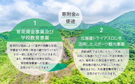 洞爺湖町 寄附のみの応援受付 3,000円コース（返礼品なし 寄附のみ 3000円） 支援 自治体支援 お礼の品なし 北海道 洞爺湖町の発展 ふるさと応援 ふるさと支援 