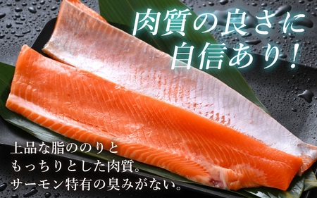ふくいサーモン 350g (刺身用)　真空冷凍　175g × 2パック